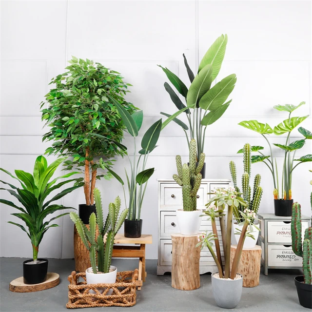 Plante artificielle Monstera Deliciosa - Sol en soie - 120 cm de haut -  Décoration d'intérieur ou d'extérieur : : Cuisine et Maison