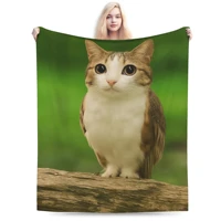 Internet Famous Meowl Cat Owl Meme Blanket Super Soft Velvet Lightweight For Sofa Bed Office Travel Picnic All Season 2