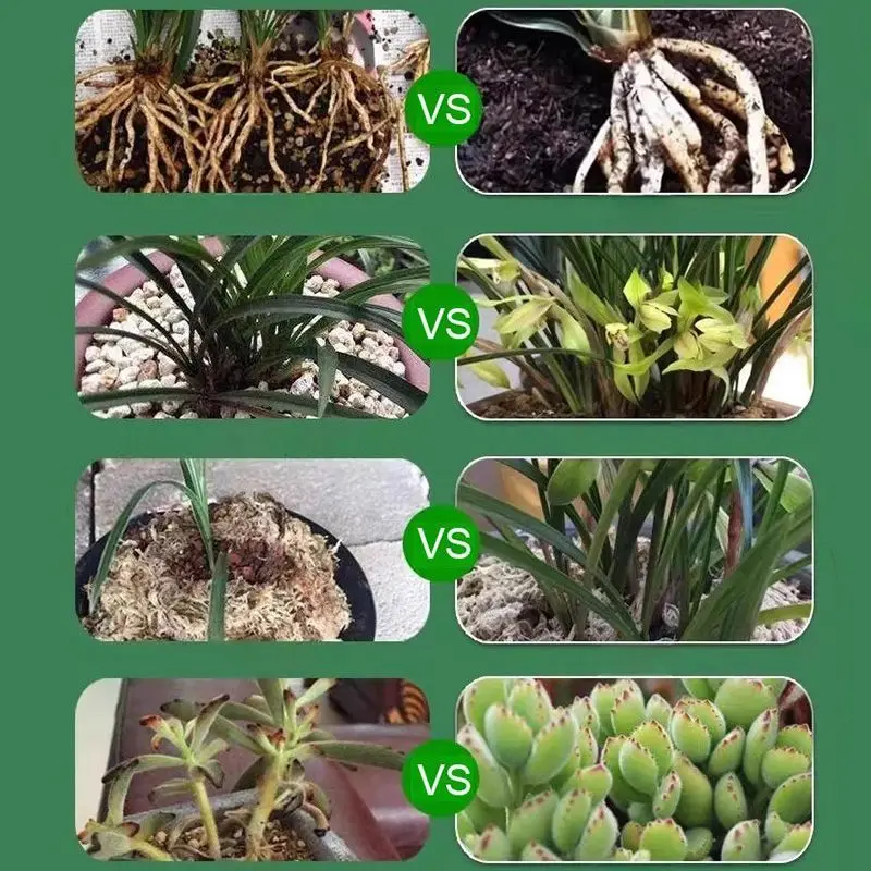 50ML Plant Nutrient Mini Garden Tools Promote Sprouting Rapid Flowering Fast Potting Rooting Plant Nutrient Solution Supplement Garden Tool