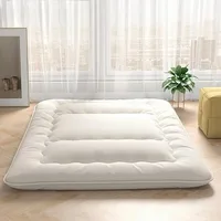 Roll Up Mattress Tatami Mat with Washable Cover and Carry Bag, Foldable & Portable Sleeping Pad for Dormitory Camping, Queen 1