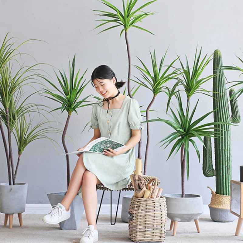 Pianta Di Simulazione Dracaena Baledata Dracaena Sago Cycas Stile Nordico Instagram Grande Celebrità Di Internet