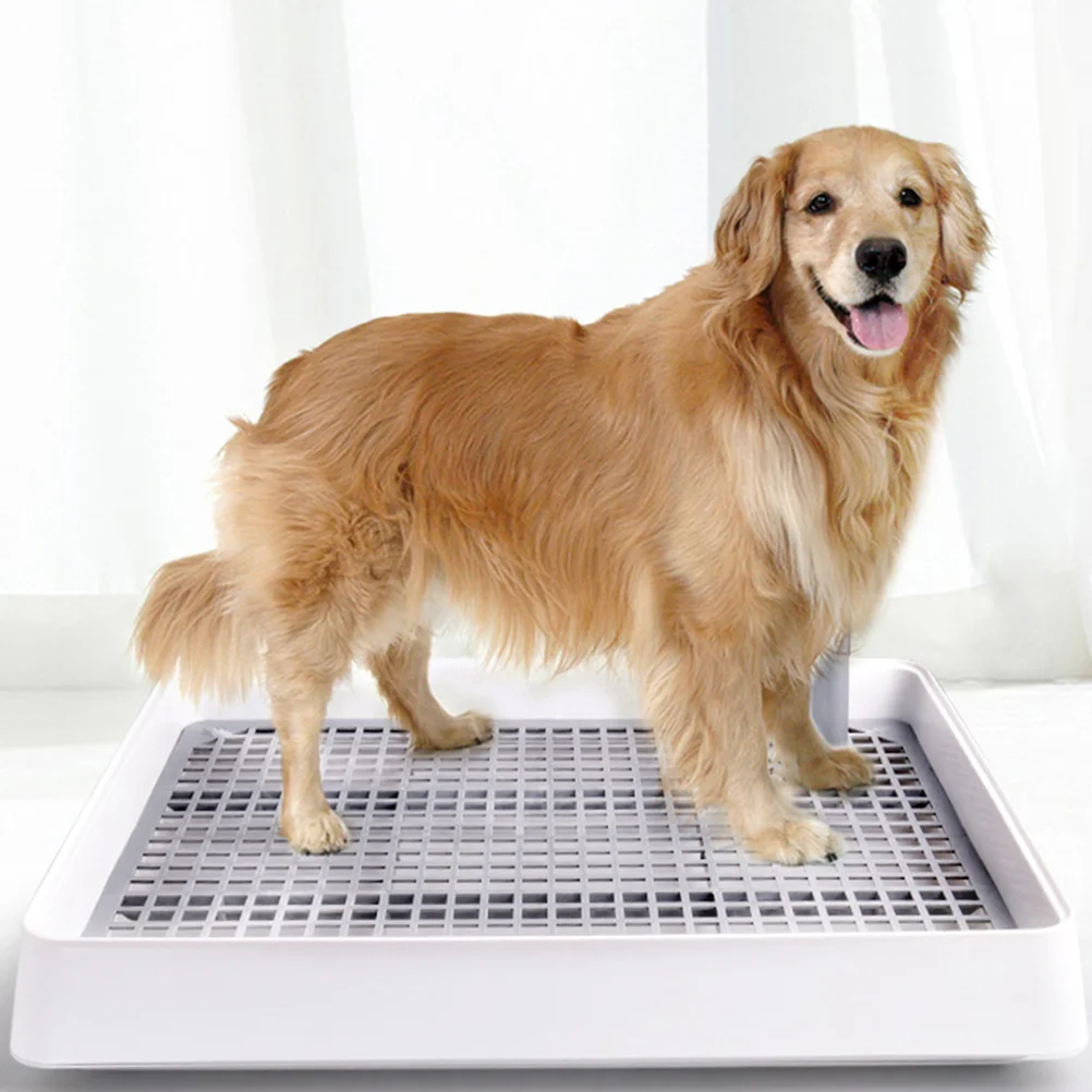 Bandeja de entrenamiento para inodoro para perros, almohadillas de  entrenamiento para interiores y exteriores, malla de inodoro con pilar,  mantiene