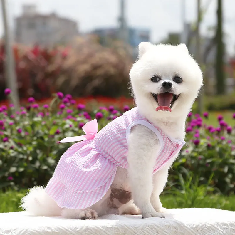 Sweet Princess Dress For Cute Dogs