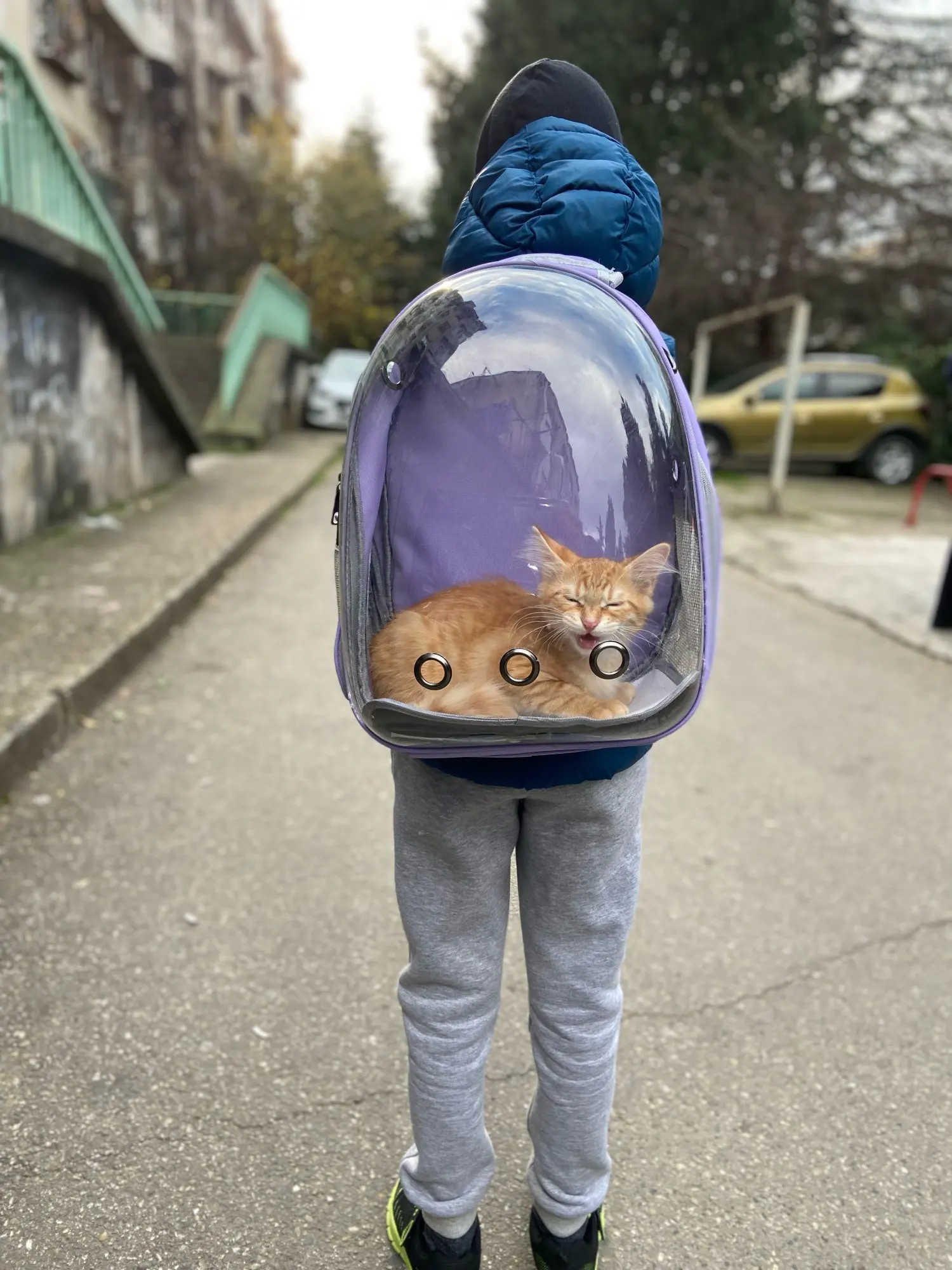 Cat Bag Pet Shoulders bag Cat Backpack Cats Carrier Bag Outdoor