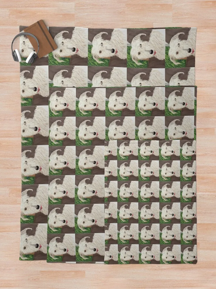 Scruffy Lurcher ������ ���, ħ��� ���� �ε巯�� ���, ���Ŀ� ���� ����