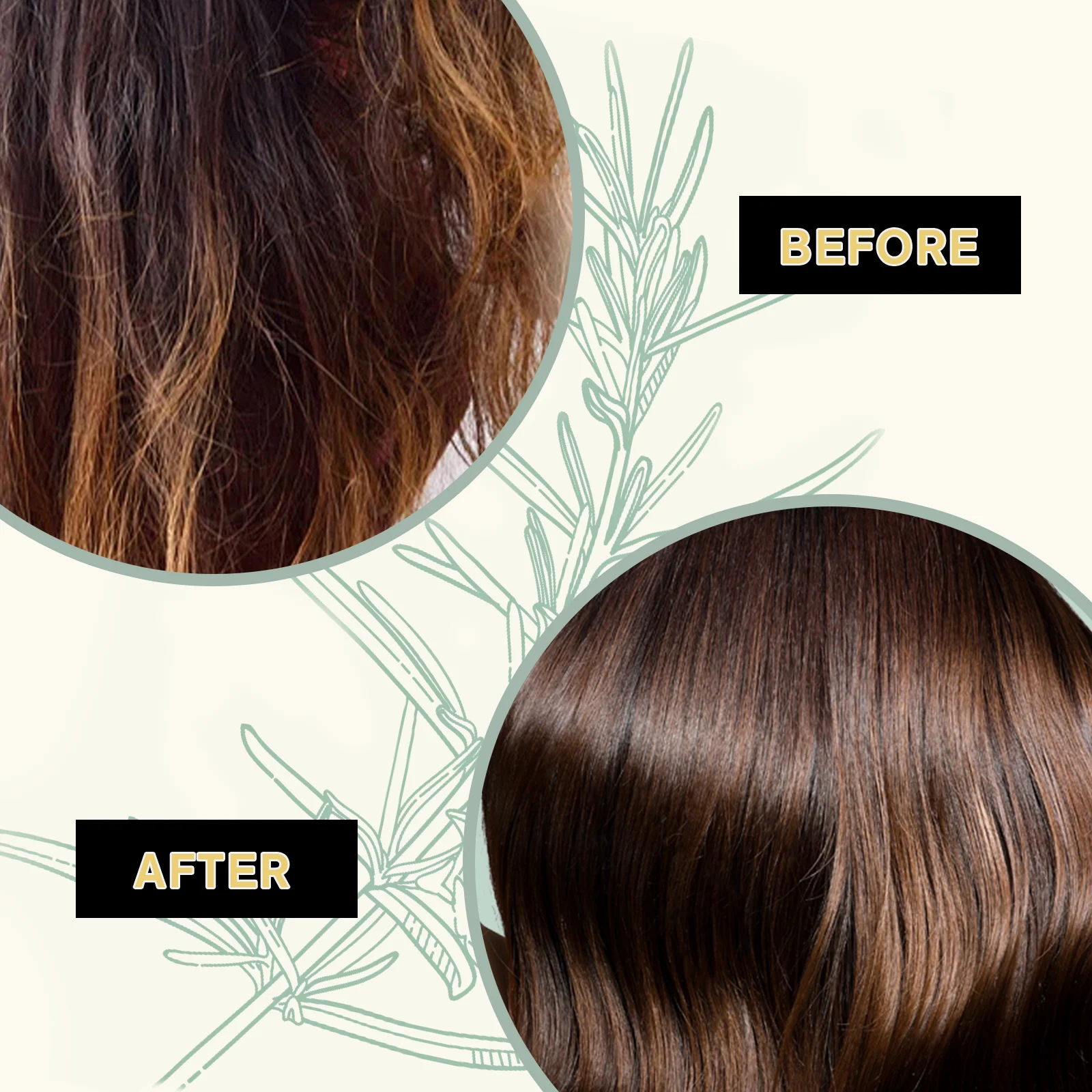 Rosemary & Biotin Solid Conditioner image 3