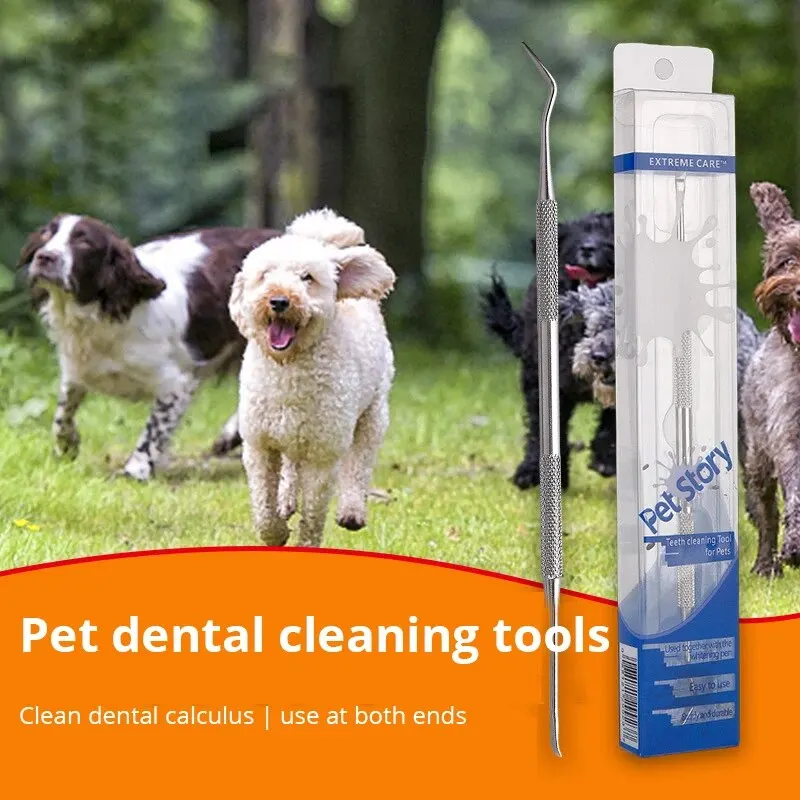 Tooth Cleaner Tartar Removers Stainless Steel