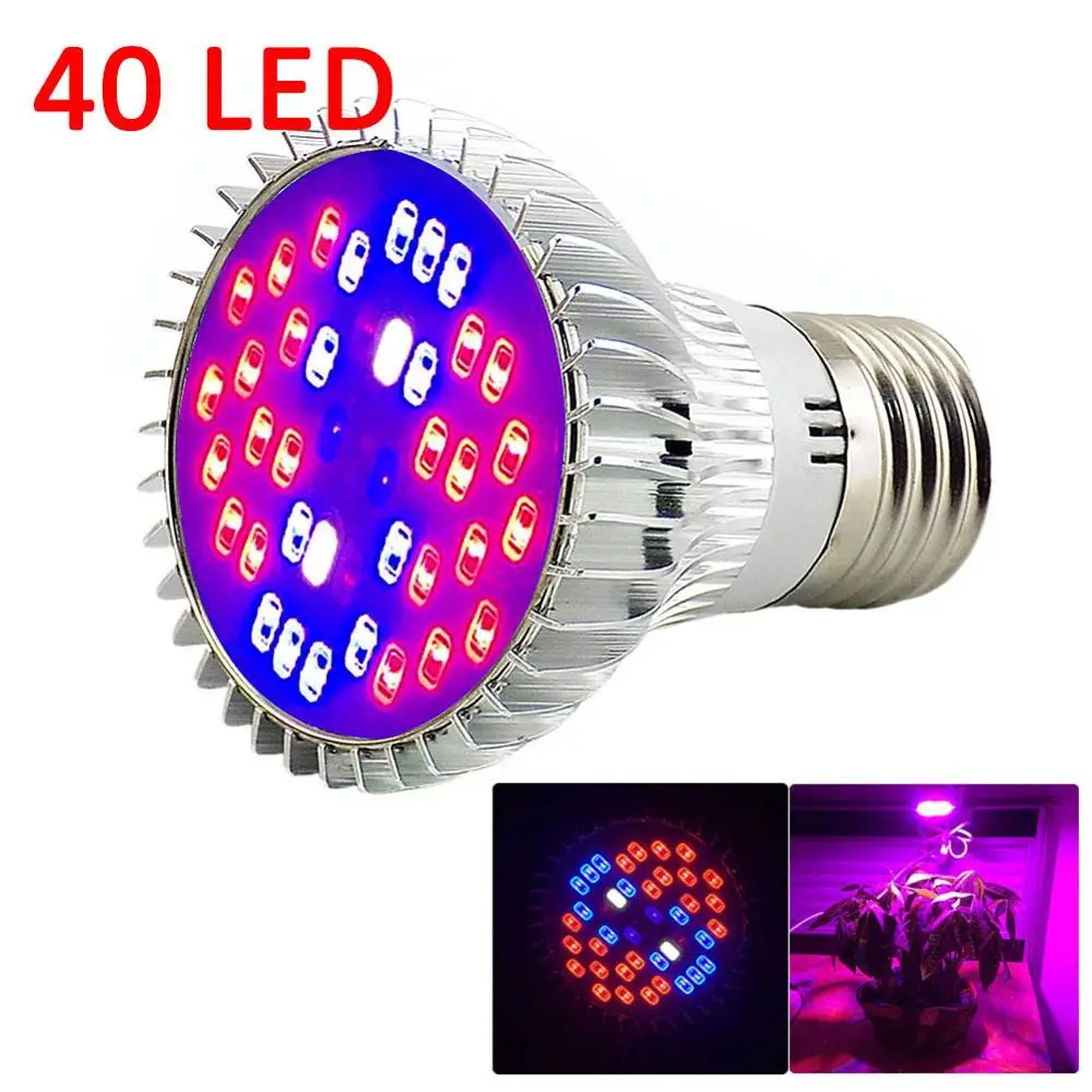 40 LED