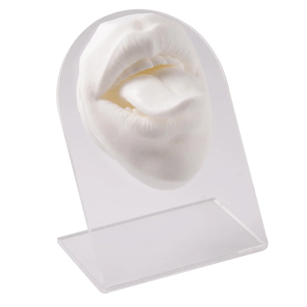 Guemcal Silicone Tongue Model Face Model Mouth Puncture  with Model Lip Nail Tongue Nail Display