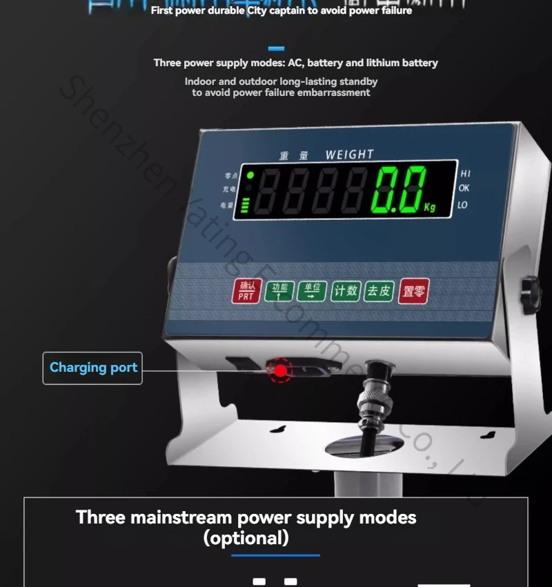 200kg Weighing Scale Stainless Steel Electronic Platform Scale Industrial Water