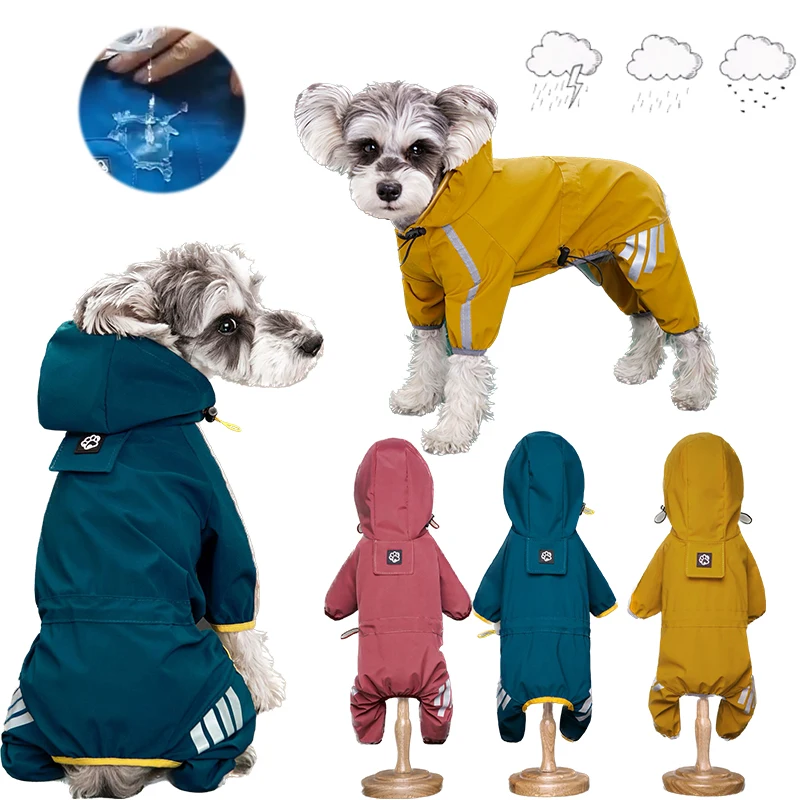 Kleiner Hund (Schnauzer-Typ) trägt gelben wasserdichten PU-Regenoverall mit Kapuze. 