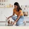 Stainless Steel Anti-Slip Pet Bowls Set for Cage Use - 6/18 Pieces Dog And Cat Feeding Plates 4