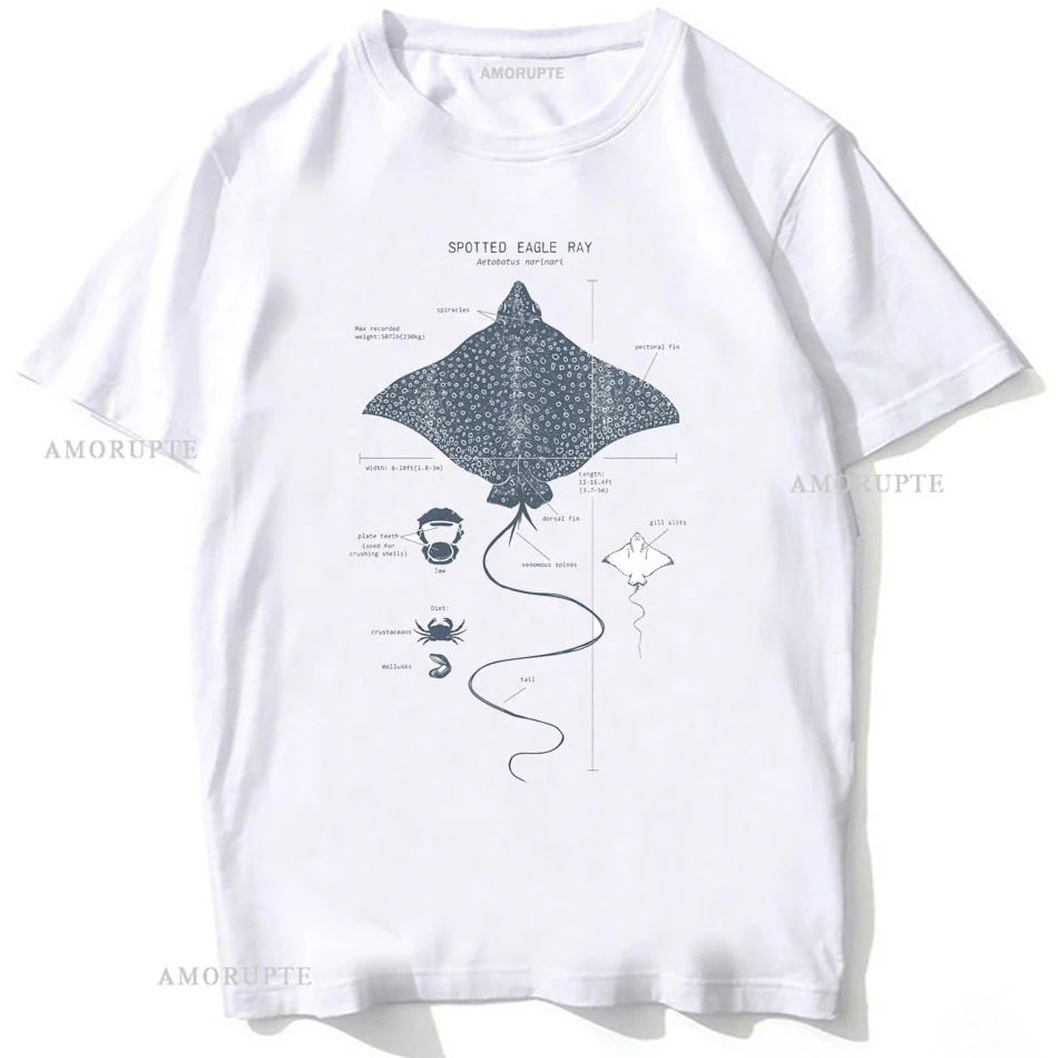 Maculato Eagle Ray Anatomy Whale Shark T-Shirt Unisex Uomo Manica Corta Divertente Great White Shark Tshirt Beach Casual Style Boy Tees