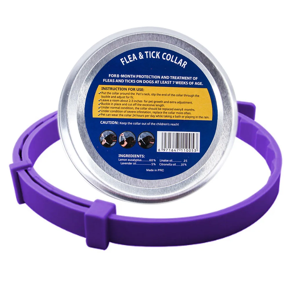 Purple box