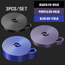 Elevate Your Fitness: Versatile Resistance Bands for Strength, Flexibility, and Home Workouts (Black - Purple - Blue)