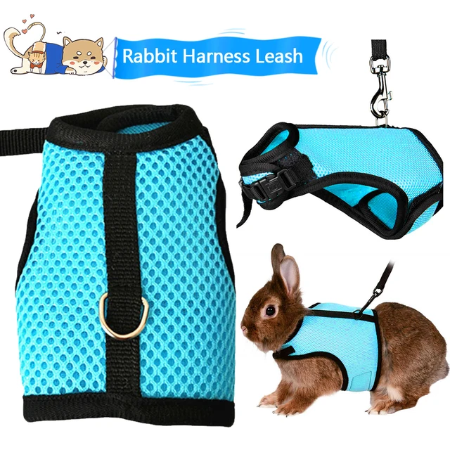 Portable Small Pet Accessories Rabbit Harnesses Vest Leashes Set Soft Mesh Harness with Leash Small Animal Guinea Pig Hamsters 4