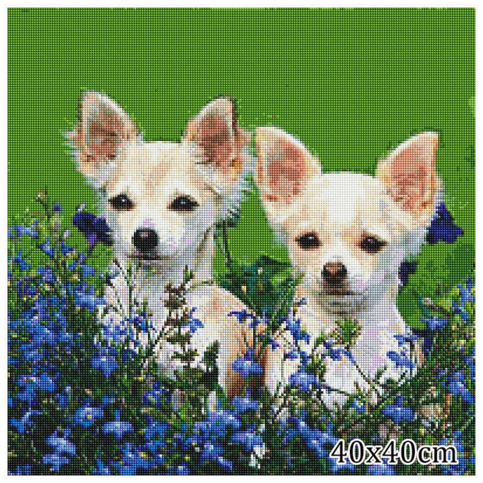 4- (14).jpg_.webp 4- (14).jpg_.webp