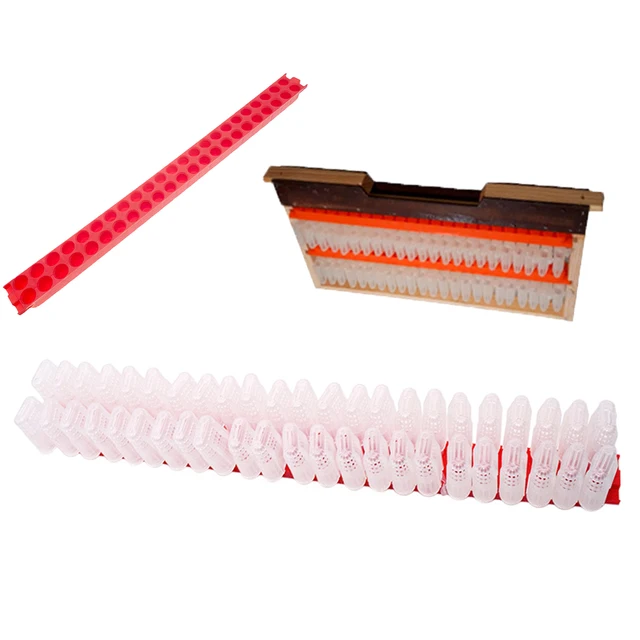 Új Dizájn Méhészet 20 Darabos Queen Méh Ketrec 1Db -Vel Történő Szállítás Utáni Műanyag Bár Szalaggal Tenyésztő Foglyok Szerszámok Felszerelés