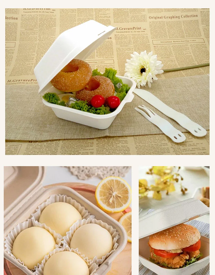 20/10pcs Disposable Bento Food Containers, Biodegradable Sugarcane & Wheat Straw Lu... - SKU DBFC2223 - UGI Packaging