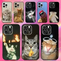 Funny Cute Cat Phone Case For iPhone 16 15 14 13 12 11 Pro Max Mini X XS SE 7 8 Plus 16E Shockproof Non-Slip Soft Back Cover
