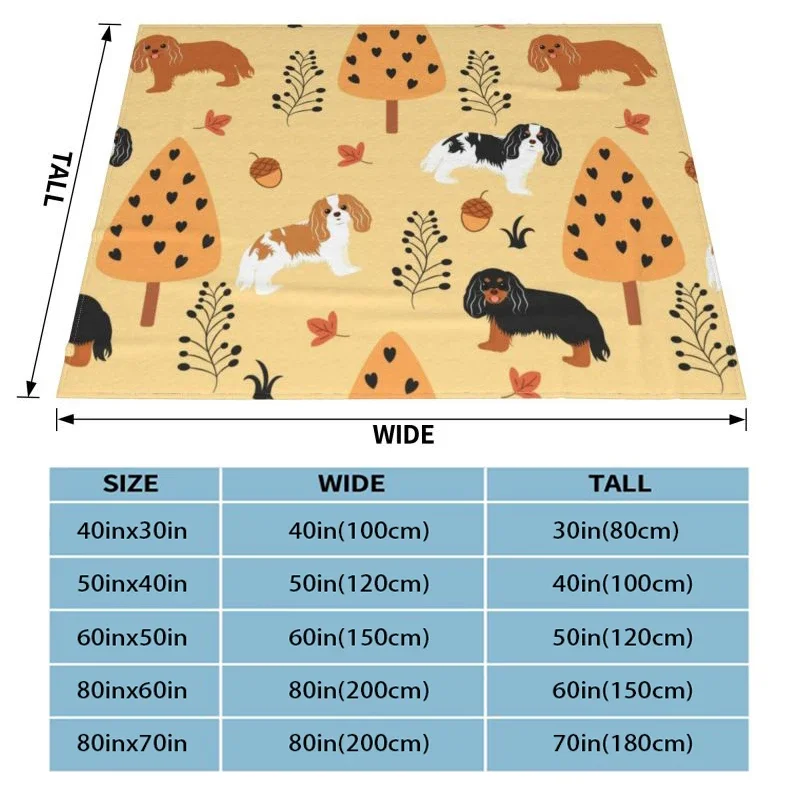 Venice Veneto Flag 3D Printed Blankets Comfortable Soft Flannel Sprint Lion of Saint Mark Throw Blanket for Sofa Office Bed 6