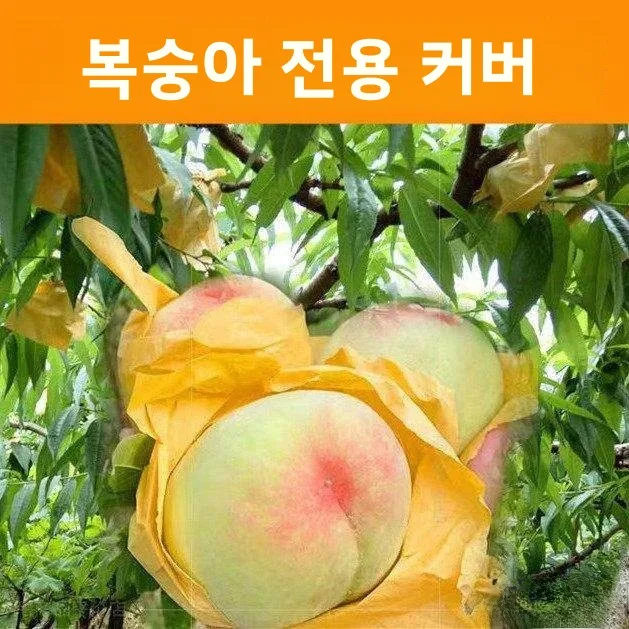 겨울 복숭아를 위한 특수 복숭아 가방, 새와 곤충 방지 복숭아 가방, 수박, 복숭아, 황색 복숭아, 과일 나무용 종이 가방