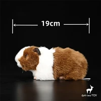 Guinea Pig High Fidelity Anime Cute Plushie Cavy Plush Toys Lifelike Animals Simulation Stuffed Doll Kawai Toy Gifts For Kids 2