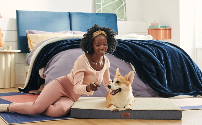 S8861c7a5319c4b3fb400959390e19972t