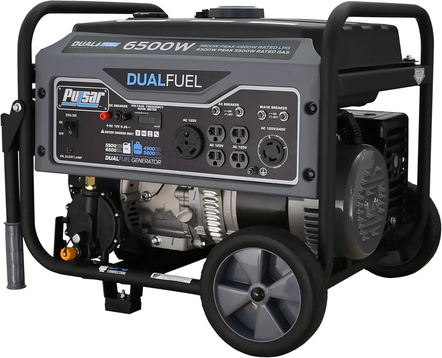 Portable Gas and LPG Dual Fuel Generator 5500 Rated 6500 Peak Watts, RV Ready, CARB Compliant, Black&White
