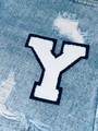 Y