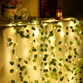 Watermelon leaves