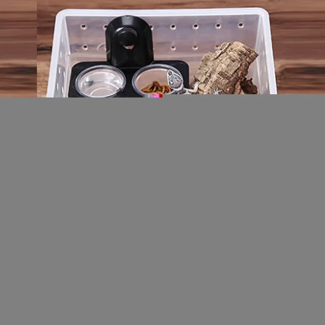 1pcs Reptile Tank Insect Spider Ants Nest Snake Gecko Food Water Feeding Bowl Breeding Feeders Box Pets Supplies 3
