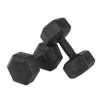 혜성 스포츠 무게추 육각 덤벨, 6kg, 2 개