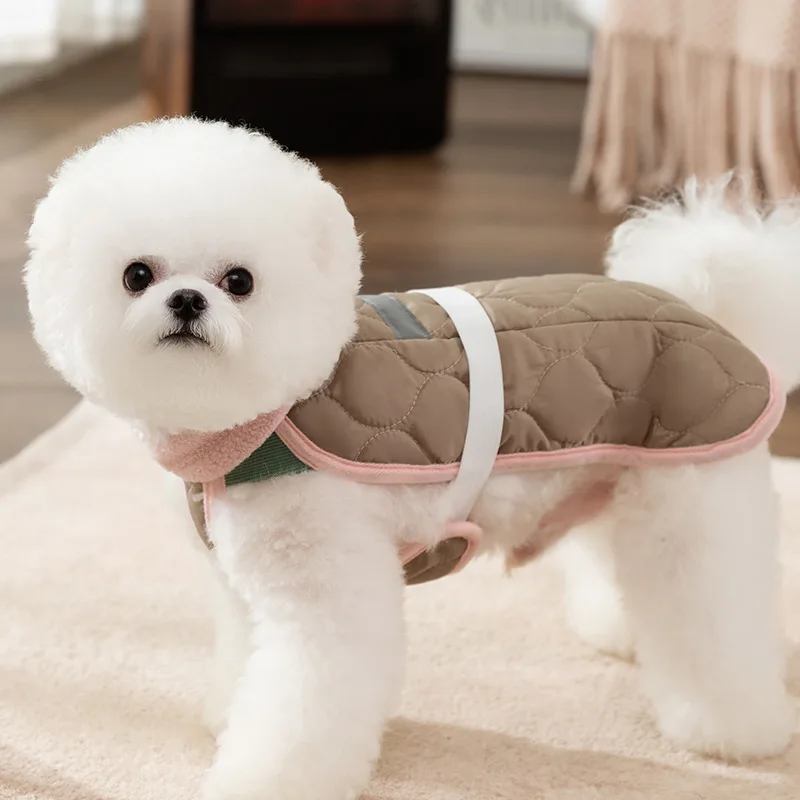 

Schnauzer Winter Jacket With Plush Insulation Dog Coat Puppy Fashion Clothing Teddy Two Legged Clothes XS-XL