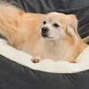 Semi-closed Dog Kennel Pet Sleeping Pad Kitten Puppy Winter Warm Nest Litter Mat Plush Dirty Resistant Pet Bed Kennel 3