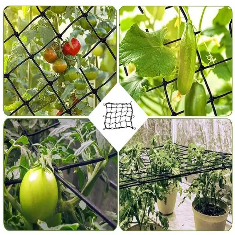 Grow Tent Trellis Net Trellis Net for Grow Tent Elastic Hydroponics Support Plant Net with Hooks Growing 44 Inch Grid Heavy-Duty Construction