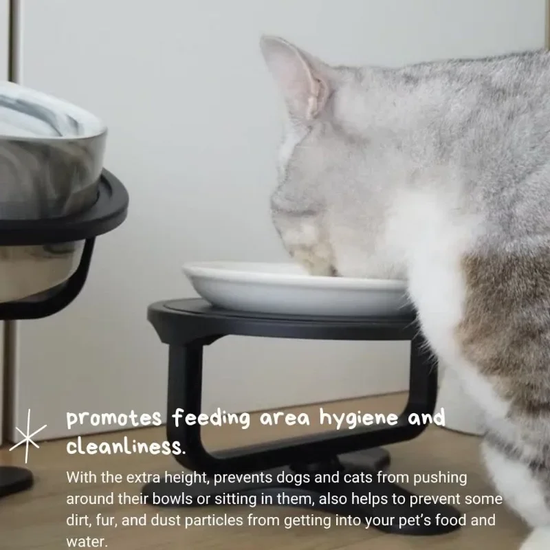 1 Pezzo Ciotola Per Gatti Rialzata, Ciotola Per Alimenti E Acqua Inclinata In Ceramica Per La Protezione Del Collo, Fornure Di Alimentazione Per Gatti Da Interno | SHEIN ALIA