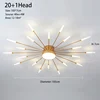 Gold 20 A