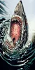 Jaws Towel Shark Printing Microfiber Bath Towel Serviette De Plage Toalha Sport Drying Travel Towels Custom Beach Towel 70x140cm 2