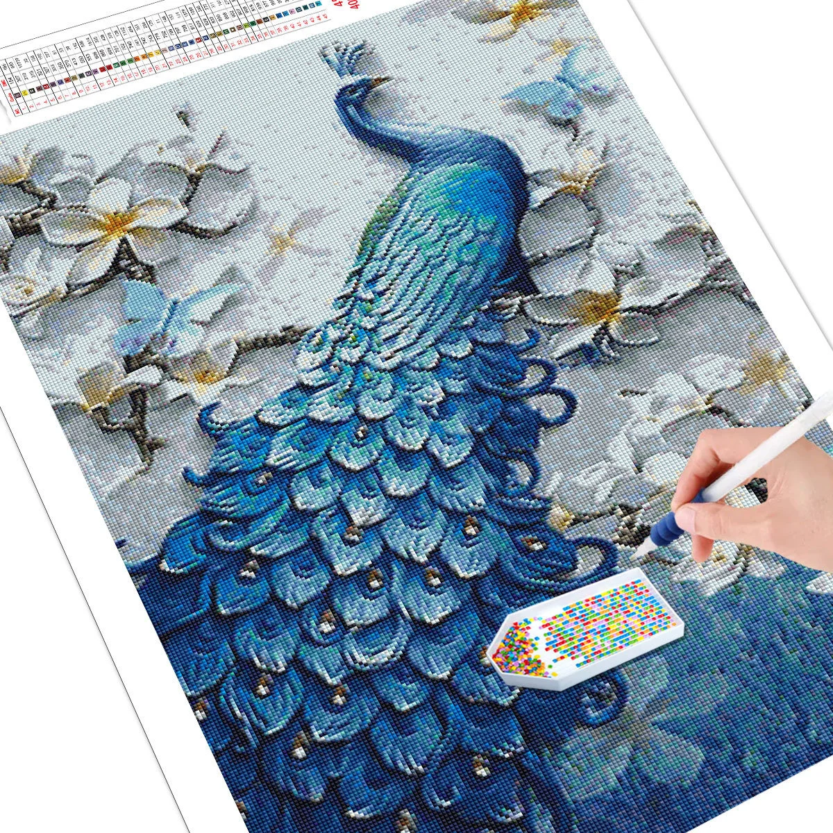 5.jpg_.webp 5.jpg_.webp