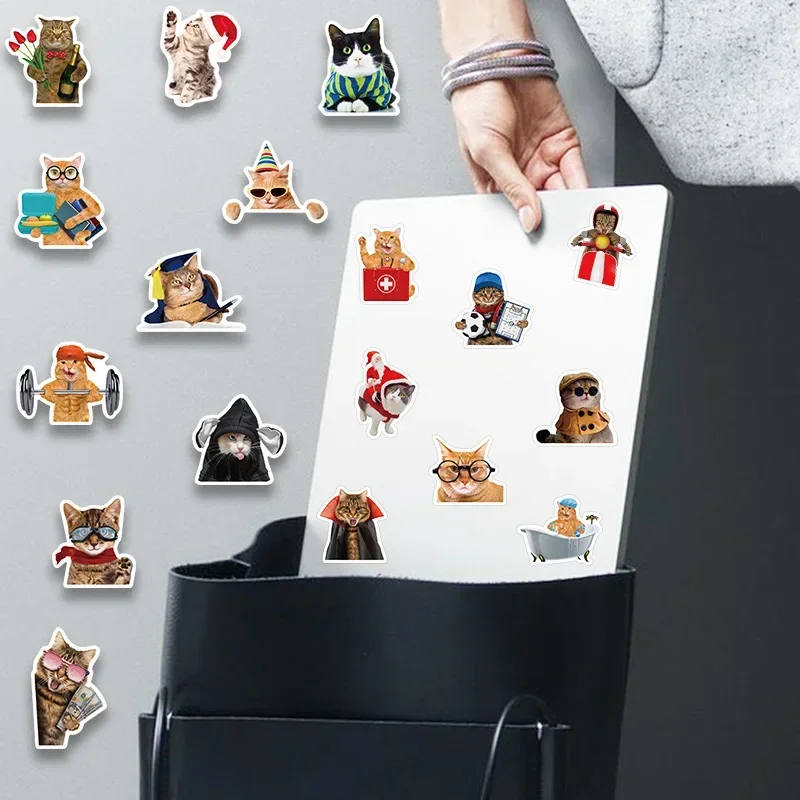 Cat Stickers Funny Cute Cat MEME Animals Stickers Kawaii Cats Decals Scrapbooking Notebook Luggage Laptop Skateboard Sticker Toy