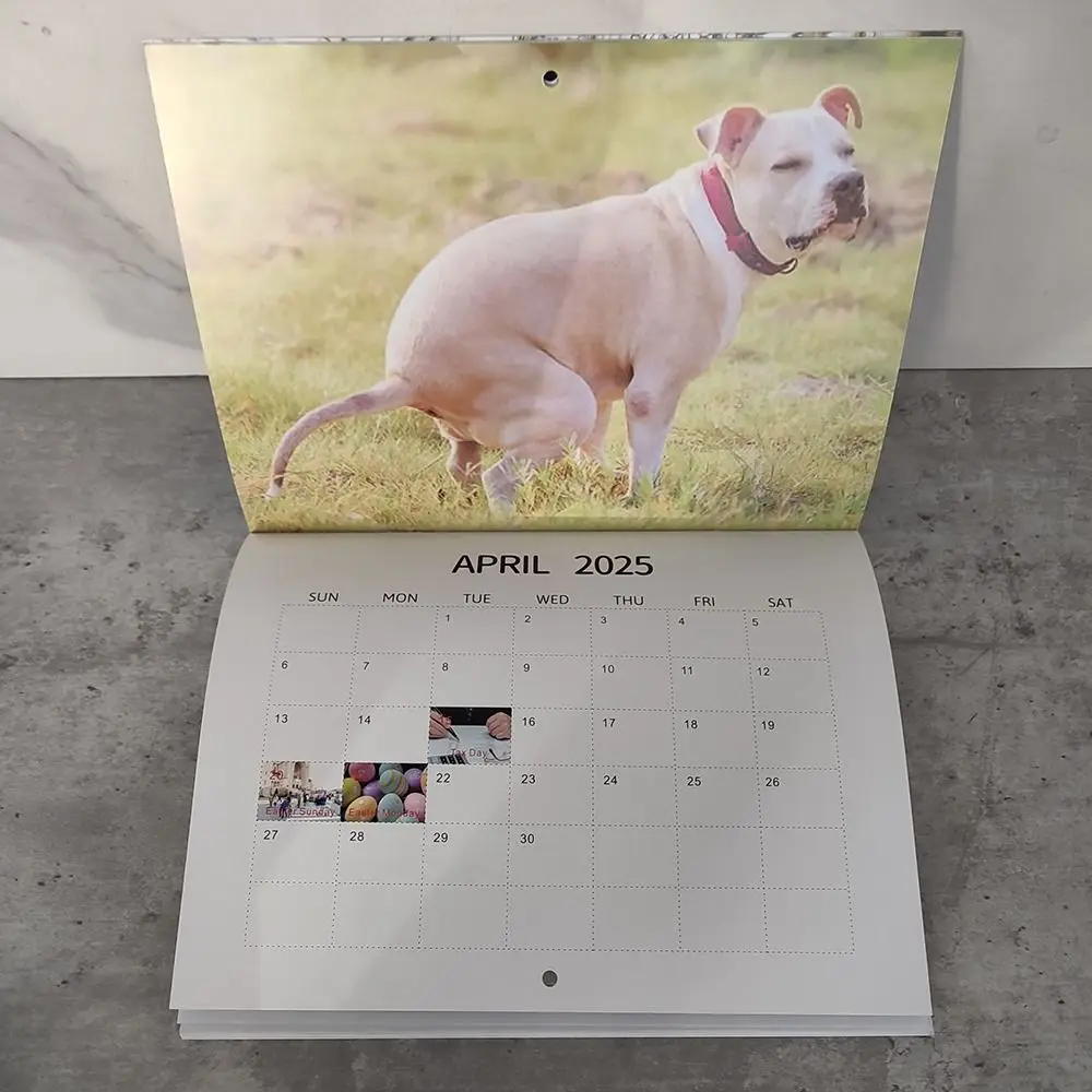 Calendar Dogs Pooping Paper Hangable Wall Office Durable Daily Weekly Monthly Planner desk calendar wall calendar habit tracker calendar paper wall calendar