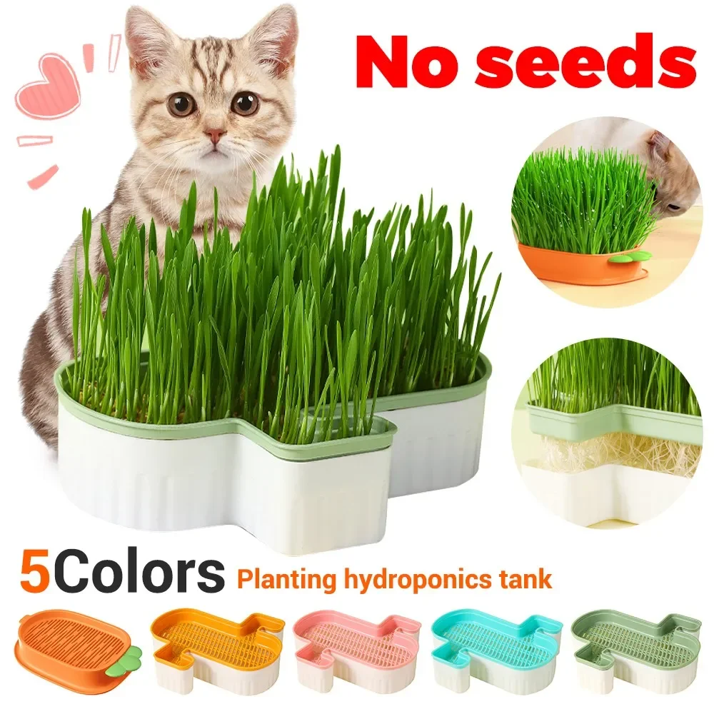 NewPetCatGrassDigestionGrowingTrayStarterDishGreenhouseHydroponicsPlantCatGrass