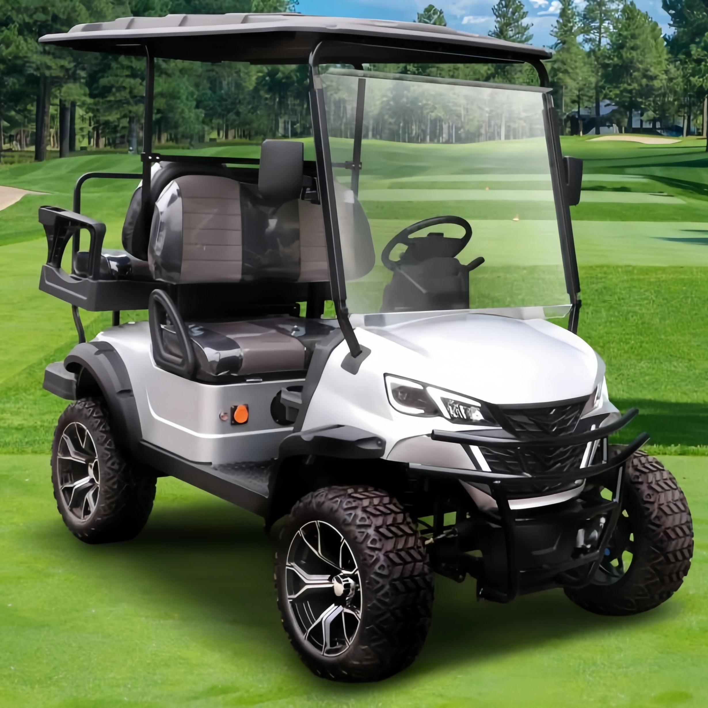 Low Price Buggy 2 Wheel Mini Single Seat An Electric Golf Cart For Golf Courses