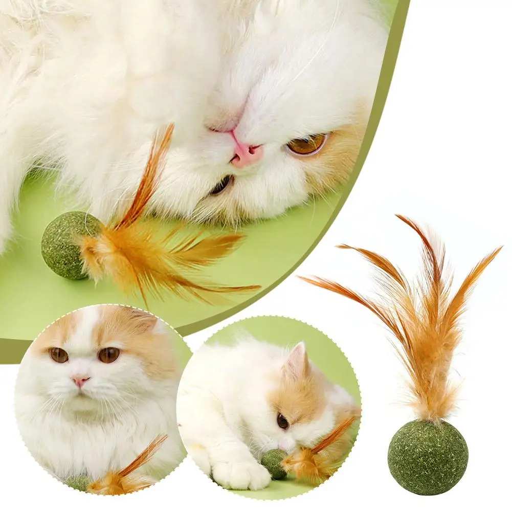 1Pc Interactive Cat Toy Catnip Feather Ball Compresso Naturale Commestibile Catnip Toy Cat Kicker Con Piume Per Indoor Cat Ki Z6G9