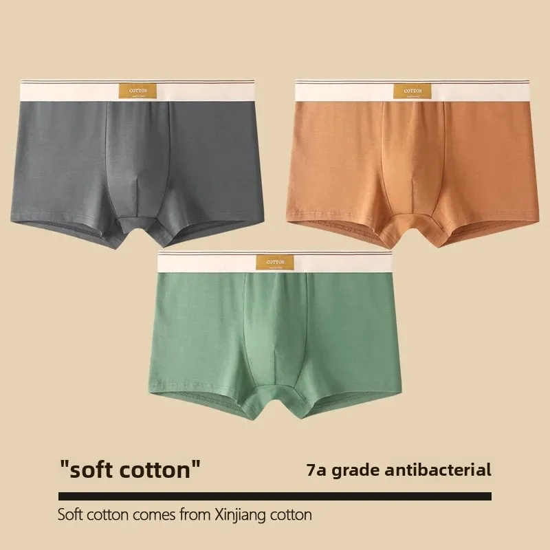 Cloth label [pure cotton -3 pack] dark gray + Brown + Bean Green