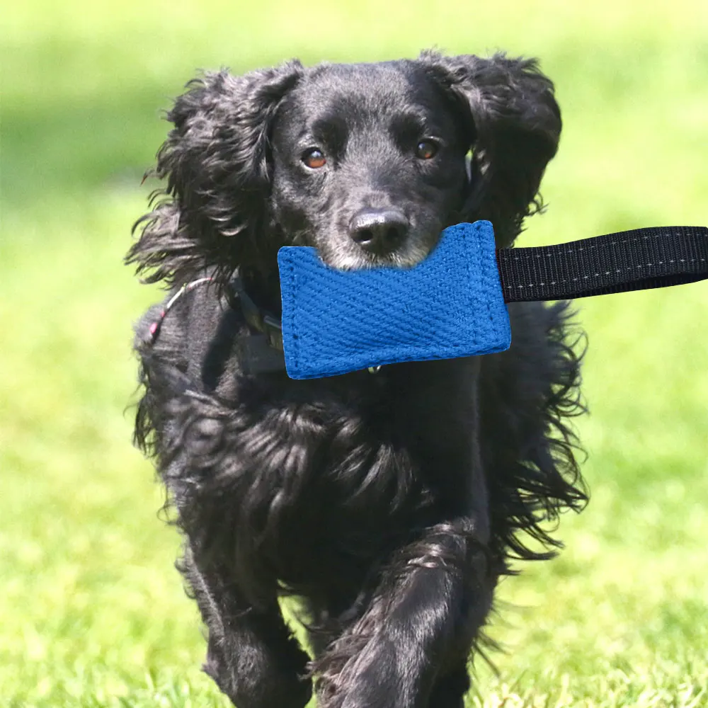 Durable Dog Chew Tug of War Toy - Interactive Training and Teething Chew Stick for Dogs Tear-resistant Linen Material 5