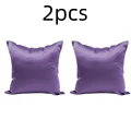 Purple 2pcs