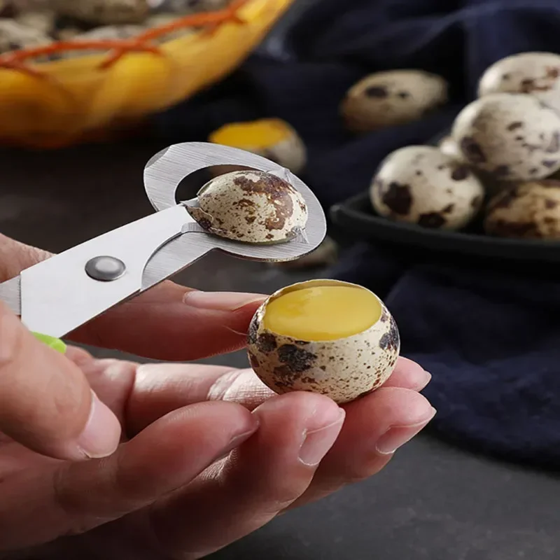 Egg Shell Opener Egg Shell Scissors Egg Opener Stainless Steel Quail Egg Shell Opener Roasted Bird Egg Scissors Eggshell Opening Divider Kitchen Cooking Tools