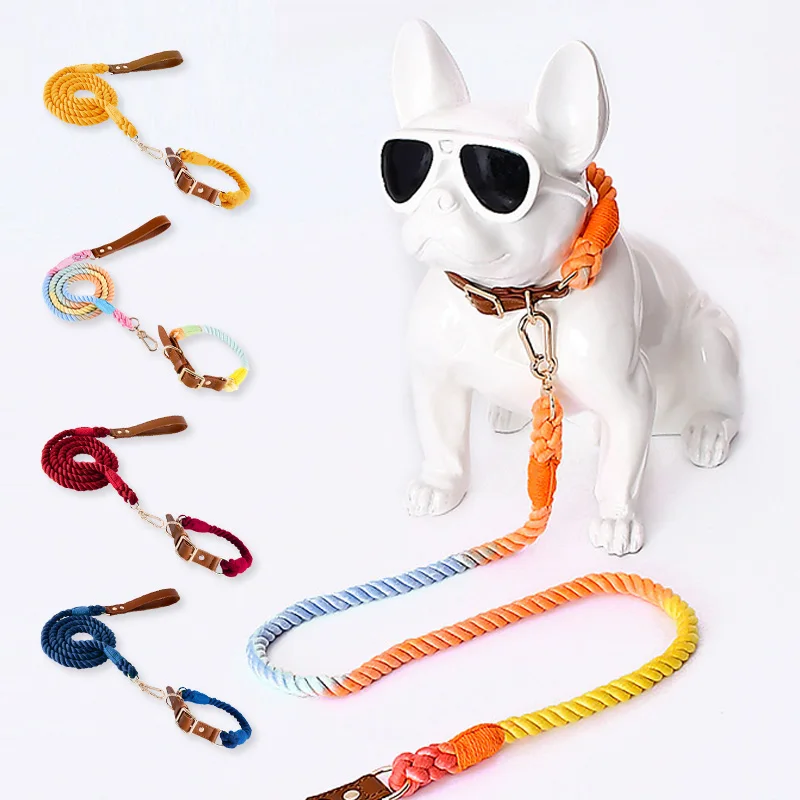 

Training Dog Collar And Leash Set Designer Matching Pet Chain Adjustable Walking Lead For Small Medium Large Dogs Accessories